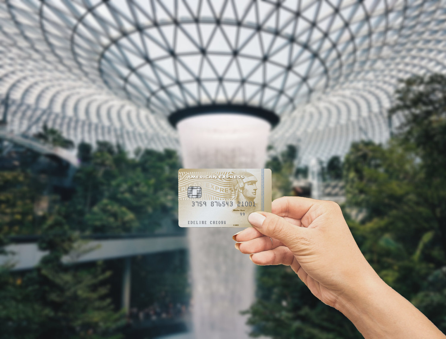 American Express Decreases Required Spending for Welcome Offer By Half on True Cashback Card