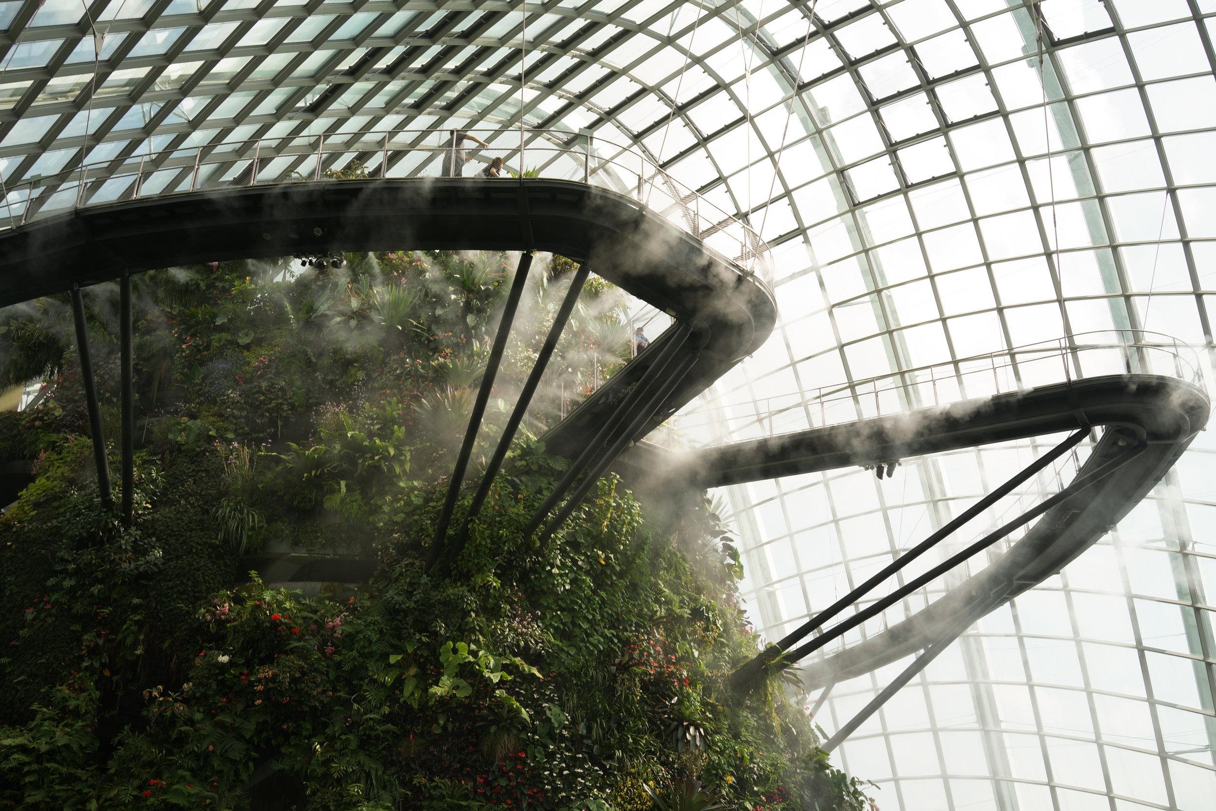 Pay S$20 in August for Unlimited Access to Cloud Forest and Flower Dome at Gardens by the Bay (until 07 February 2021)