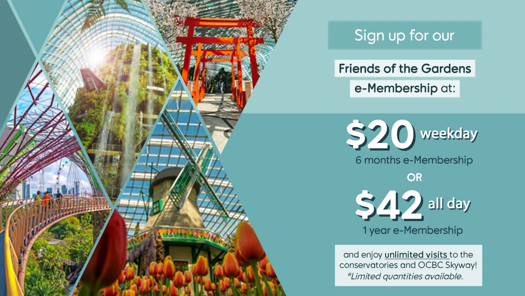 Discounted Friends of the Gardens e-Membership (Unlimited Admission and Free Parking) at Gardens by the Bay from S$20 - Apply by 31 March 2021 
