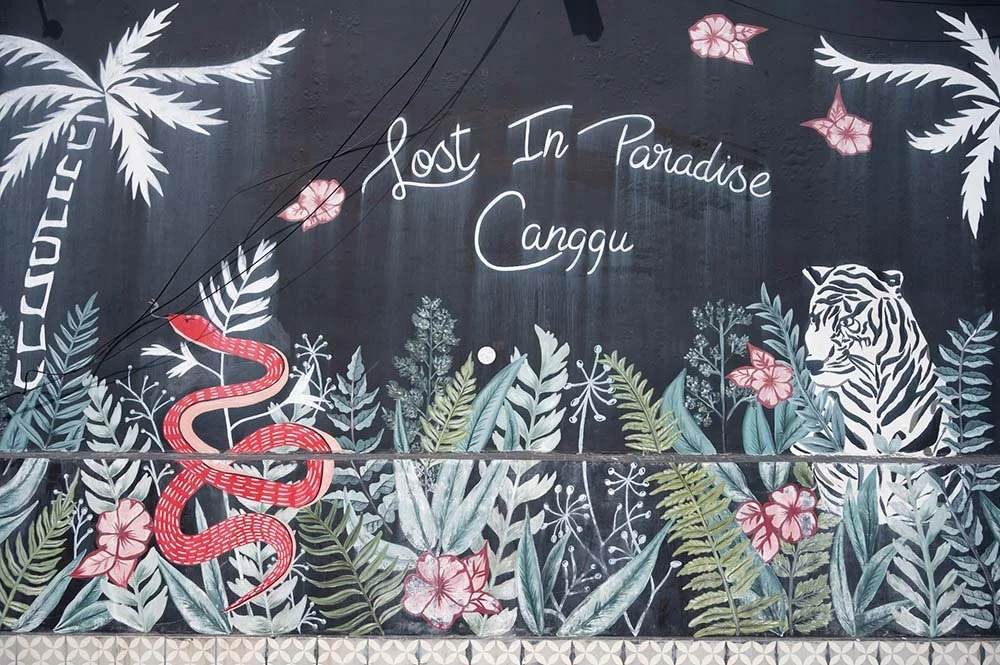 10 Best Cafes to Check Out in Canggu, Bali 2022