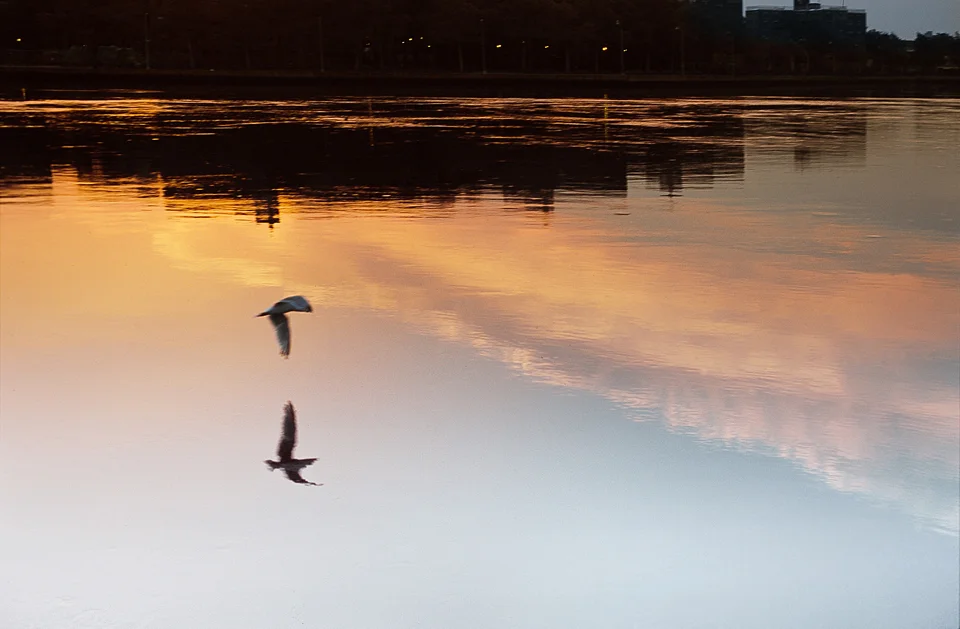 untitled (1 of 1).jpg