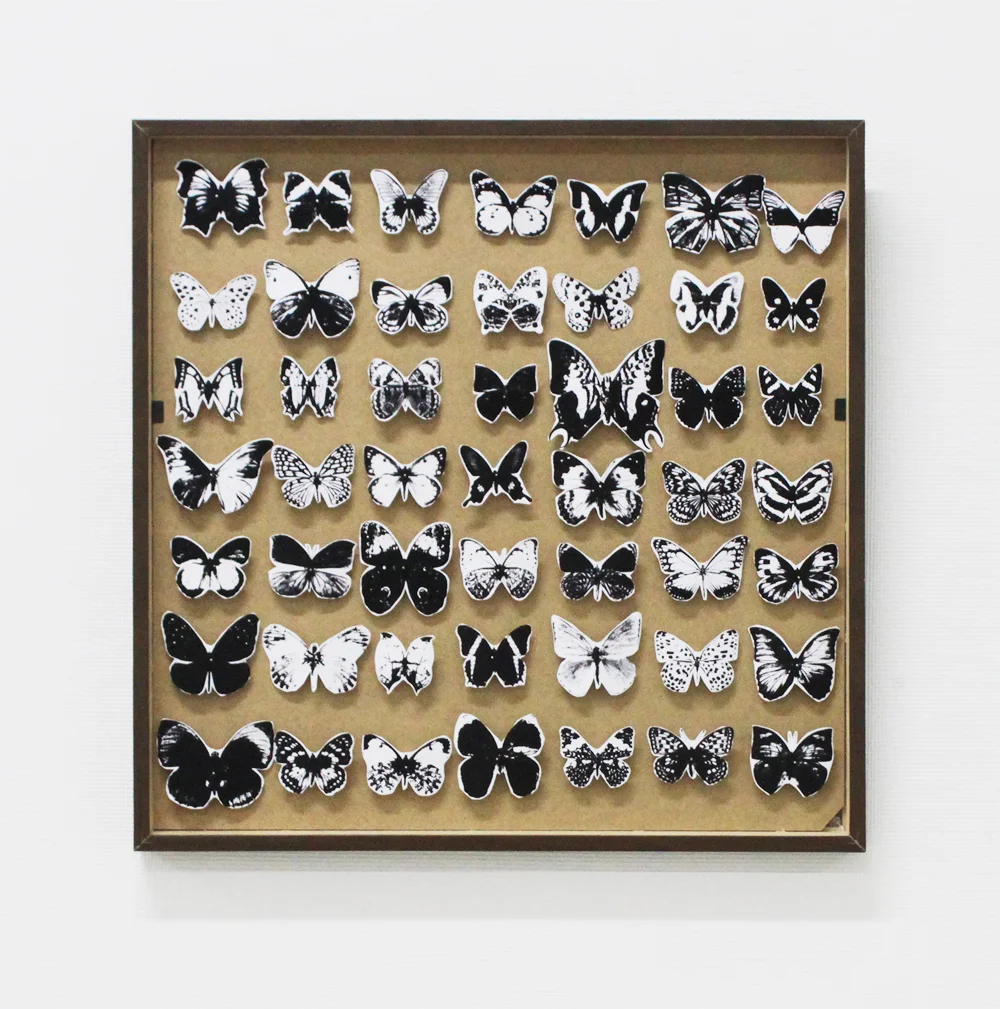 beautiful copies.jpg