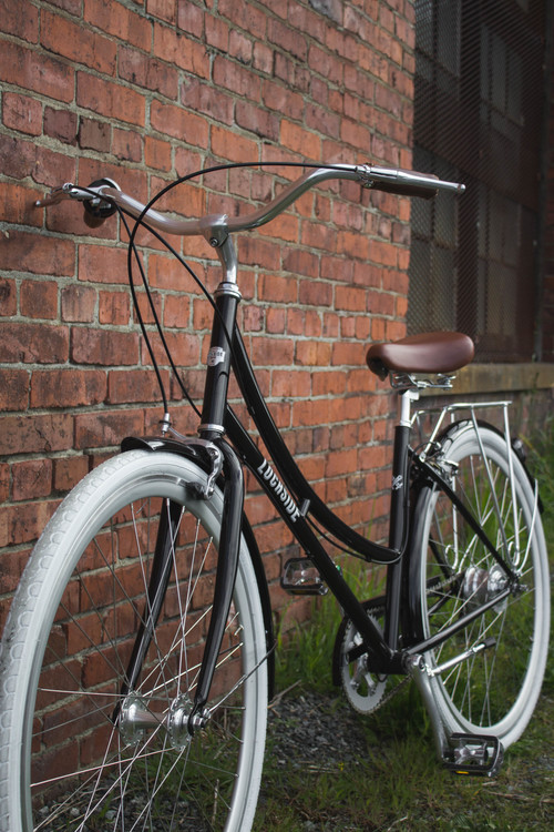 Lochside Cycles Madeline Bike.jpeg