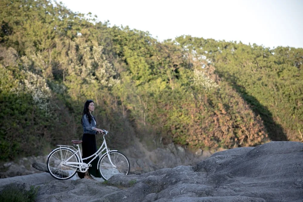 Lochside+Cycles+Victoria+BC+west+coast+bicycle+company+Uptown+5speed+city+bike.jpg