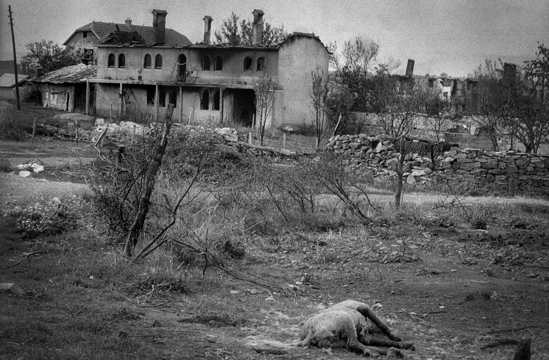 Kosovo, 1998