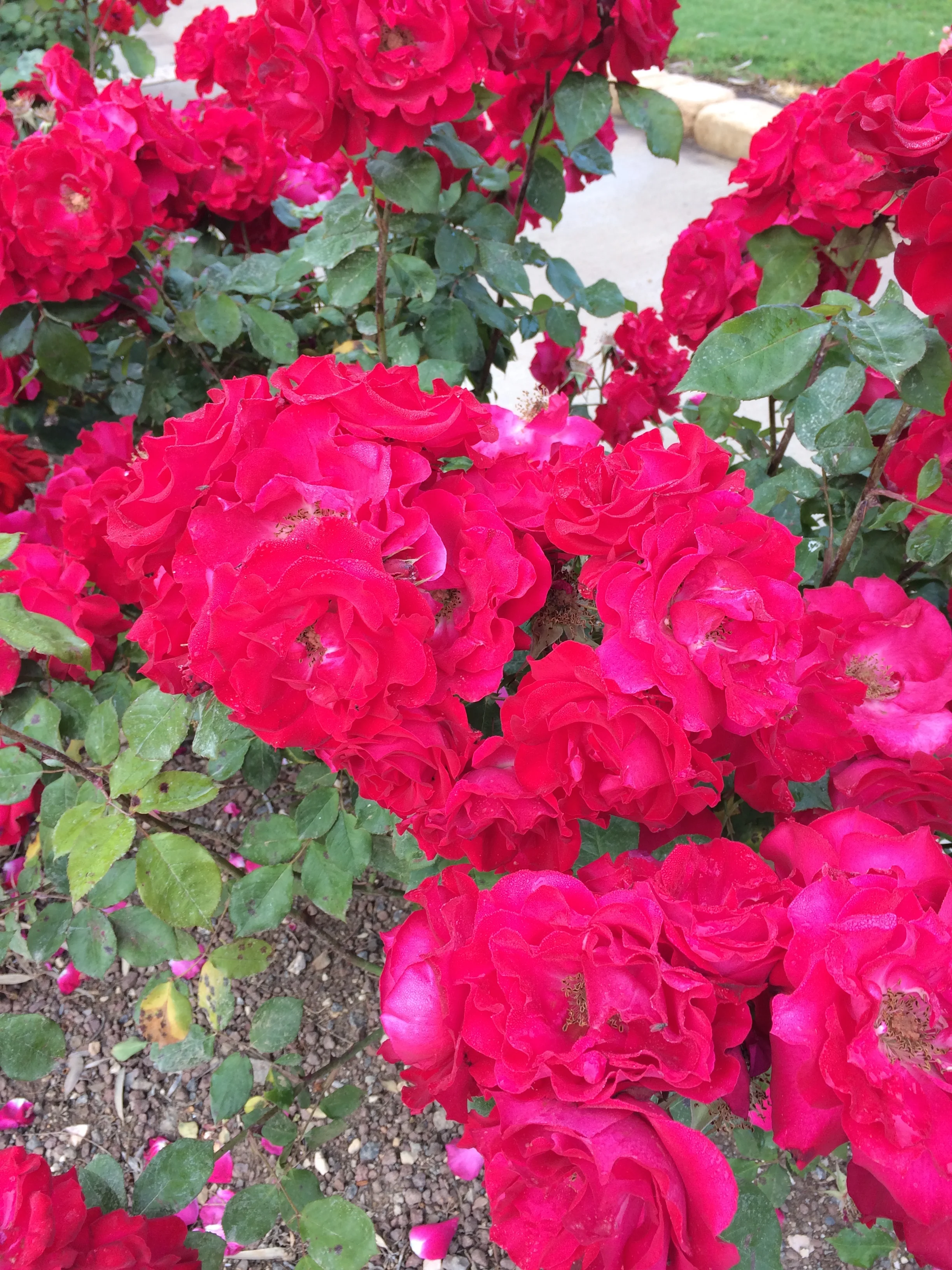 photo 7.jpg