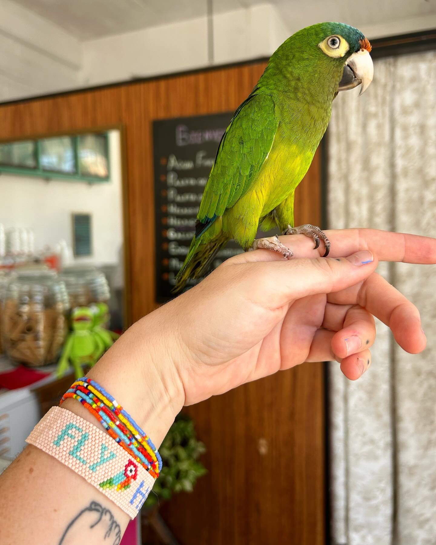 Matching with the cutest little #parrot.  New #fly #high #stitch #bracelet. 🦜🦜🦜🦜
.
.
.
#beadedjewelry #jewelry #jewellery #parrots #mexico #puertovallarta #bracelets #stackablebracelets #braceletstacks #handcrafted
