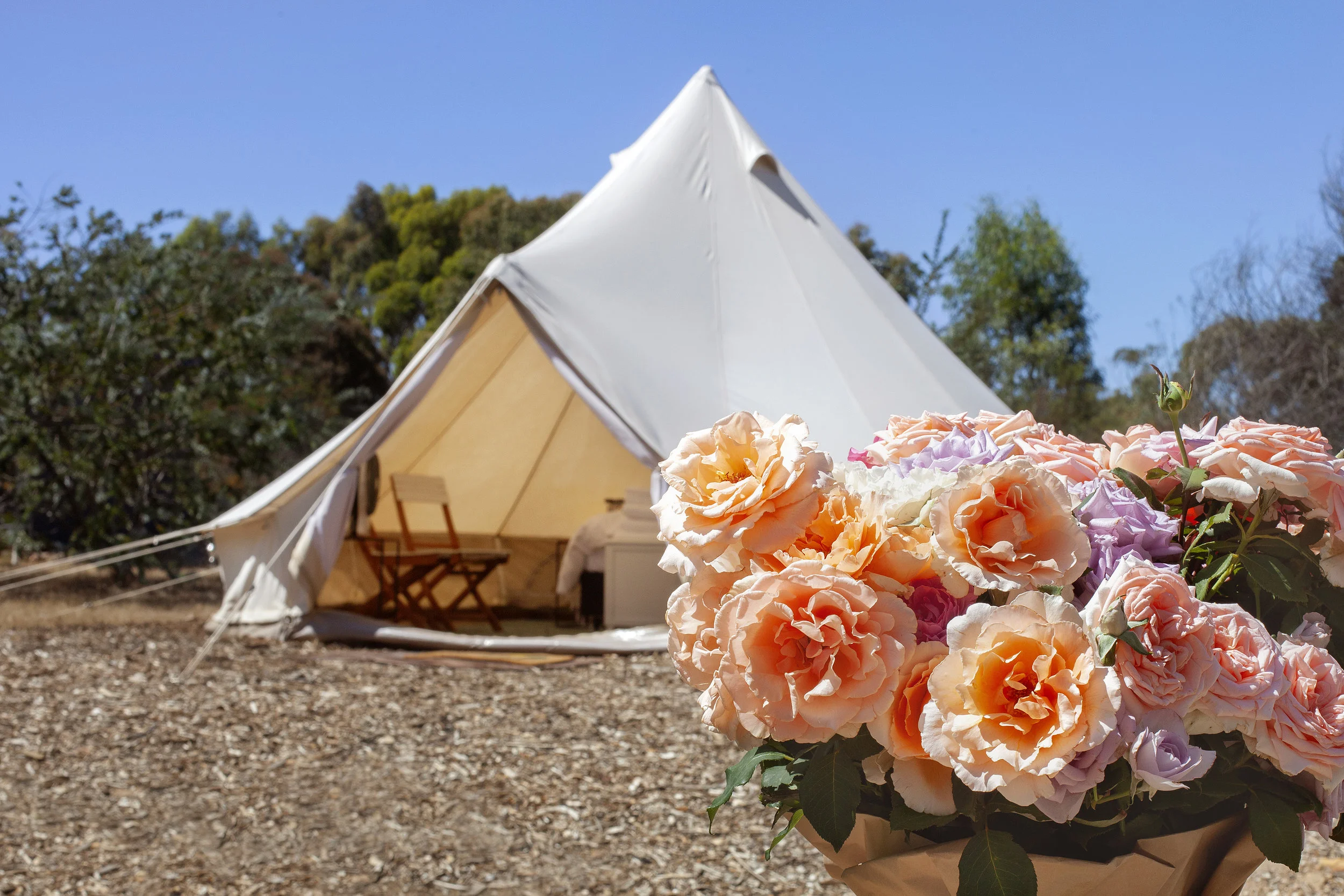 croftersfold_goldfieldglamping.jpg