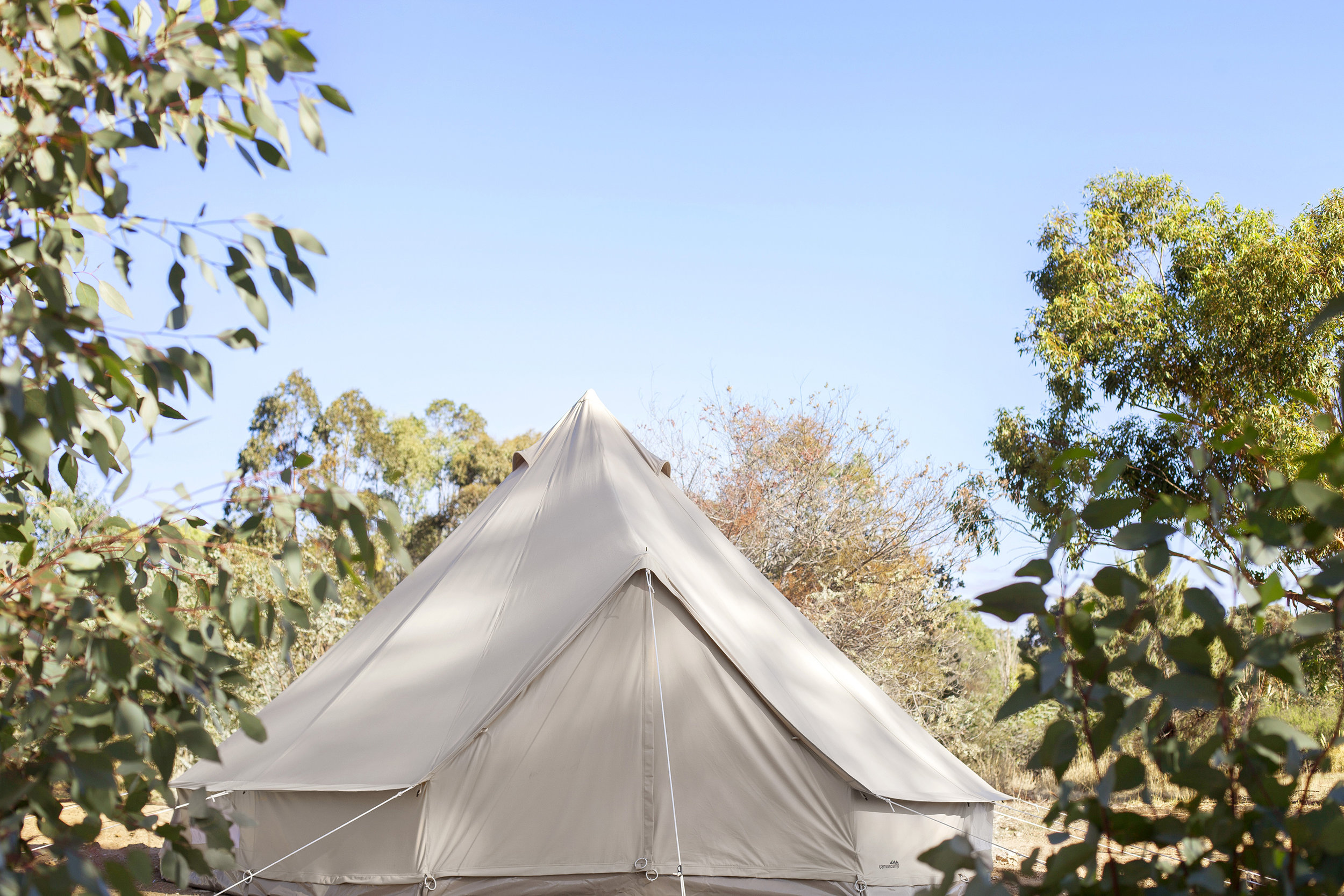 goldfieldglamping_upload_05.jpg
