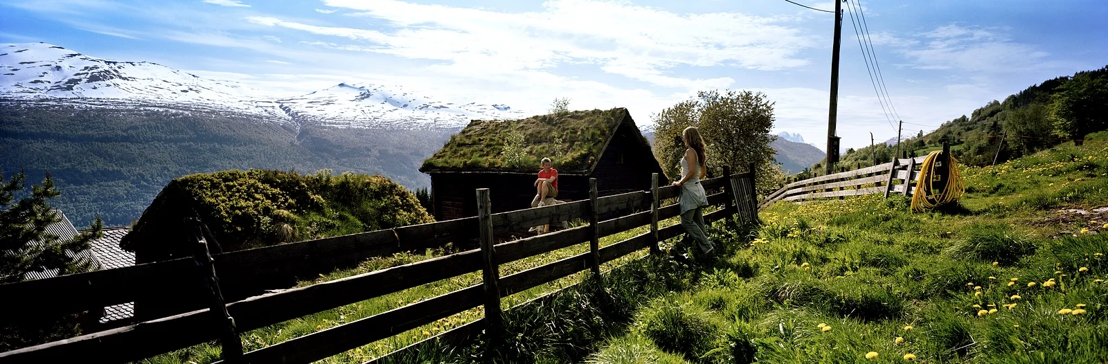 Stryn