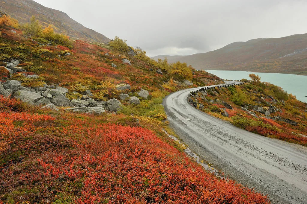strynefjellsvegen_sept16_jarewaehler5.jpg