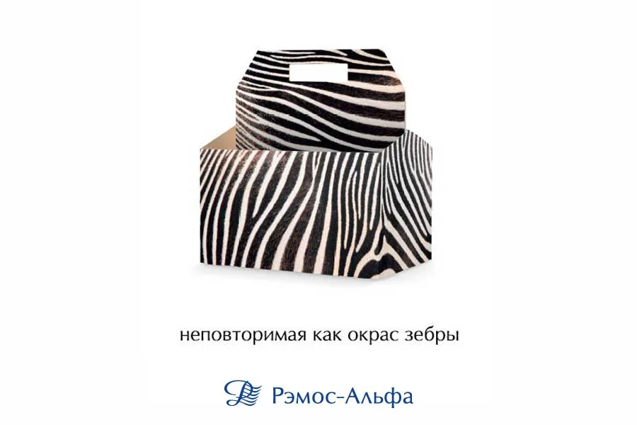 Remos_02.jpg
