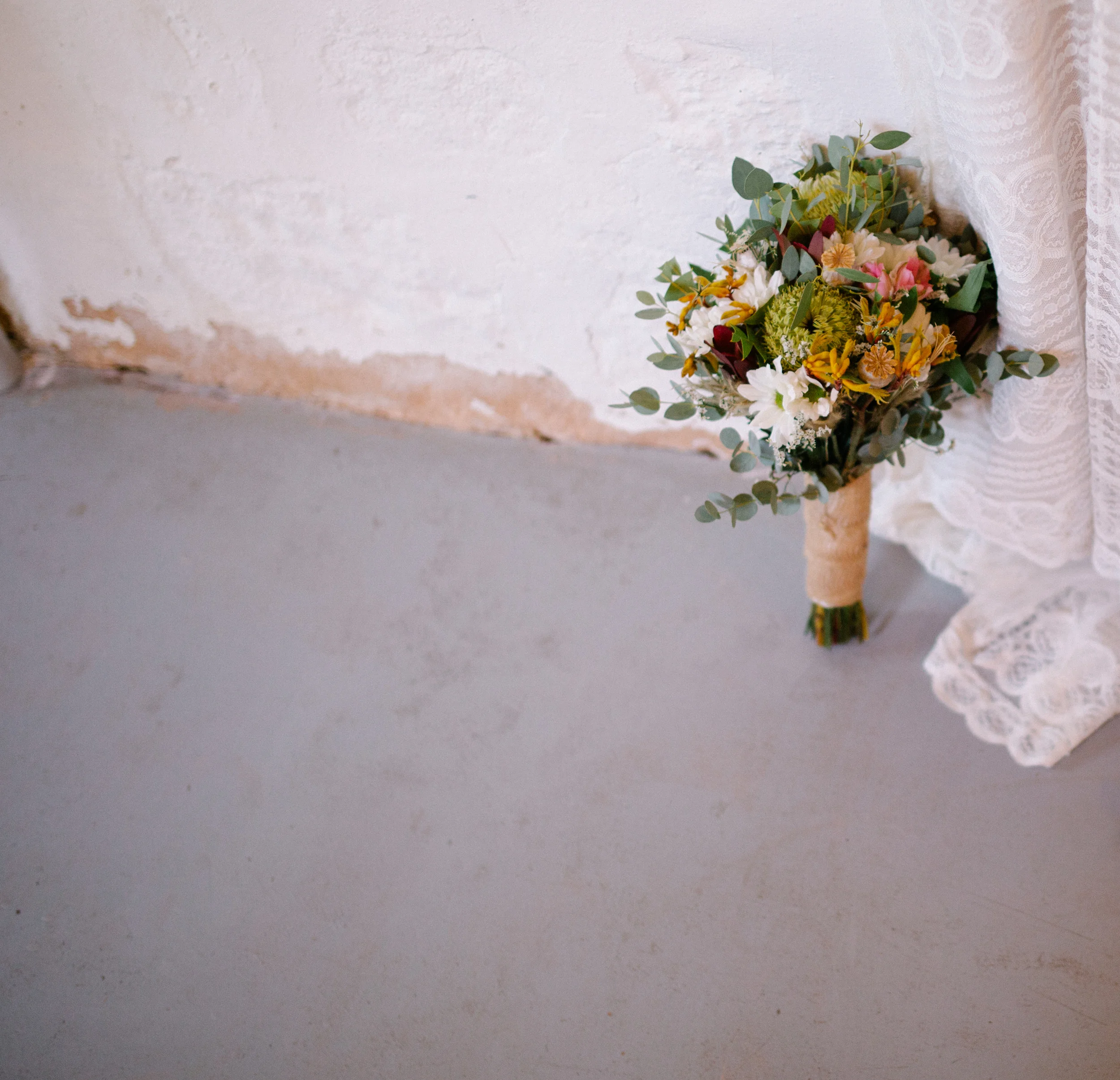 acaciarachelphoto-1.jpg