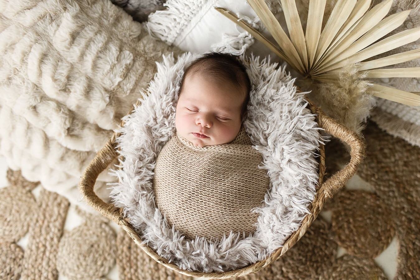 I&rsquo;ve been a little &ldquo;socials MIA&rdquo; since we went back into lockdown, but I forgot to post my last shoot, sweet little Henley 🤍 I&rsquo;m so glad we managed to squeeze him in @laura.gledhill #newborn #newbornphotography #sweetboy #bab