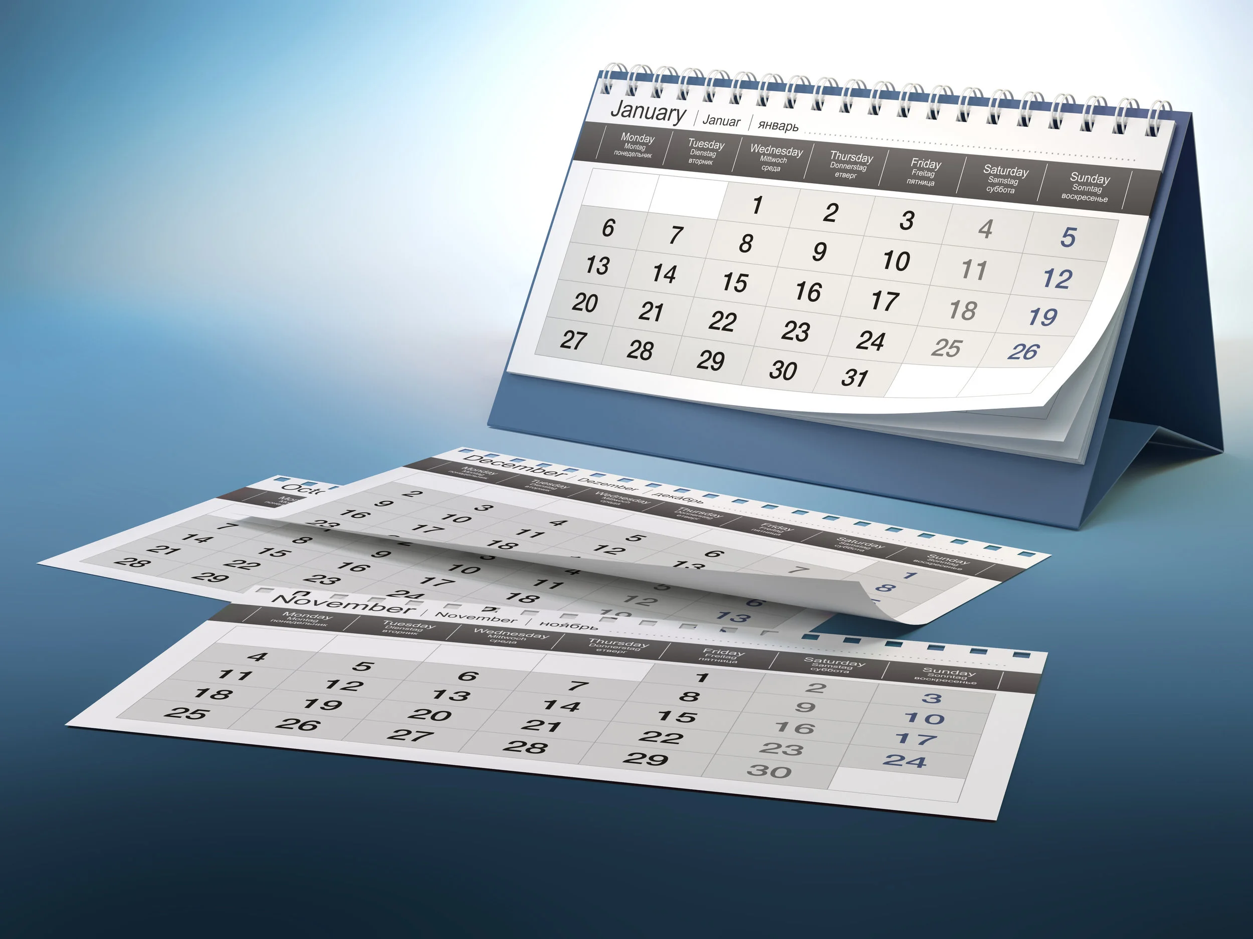 12 Months of wellbeing focused coaching support