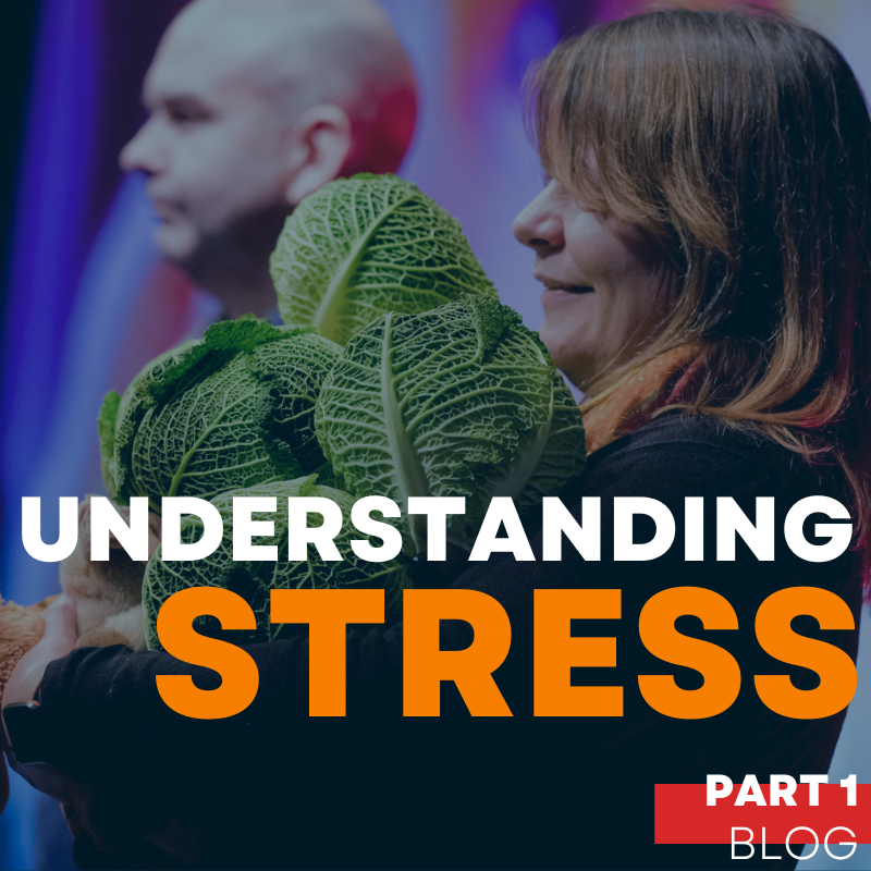 Positive Coping During Tough Times