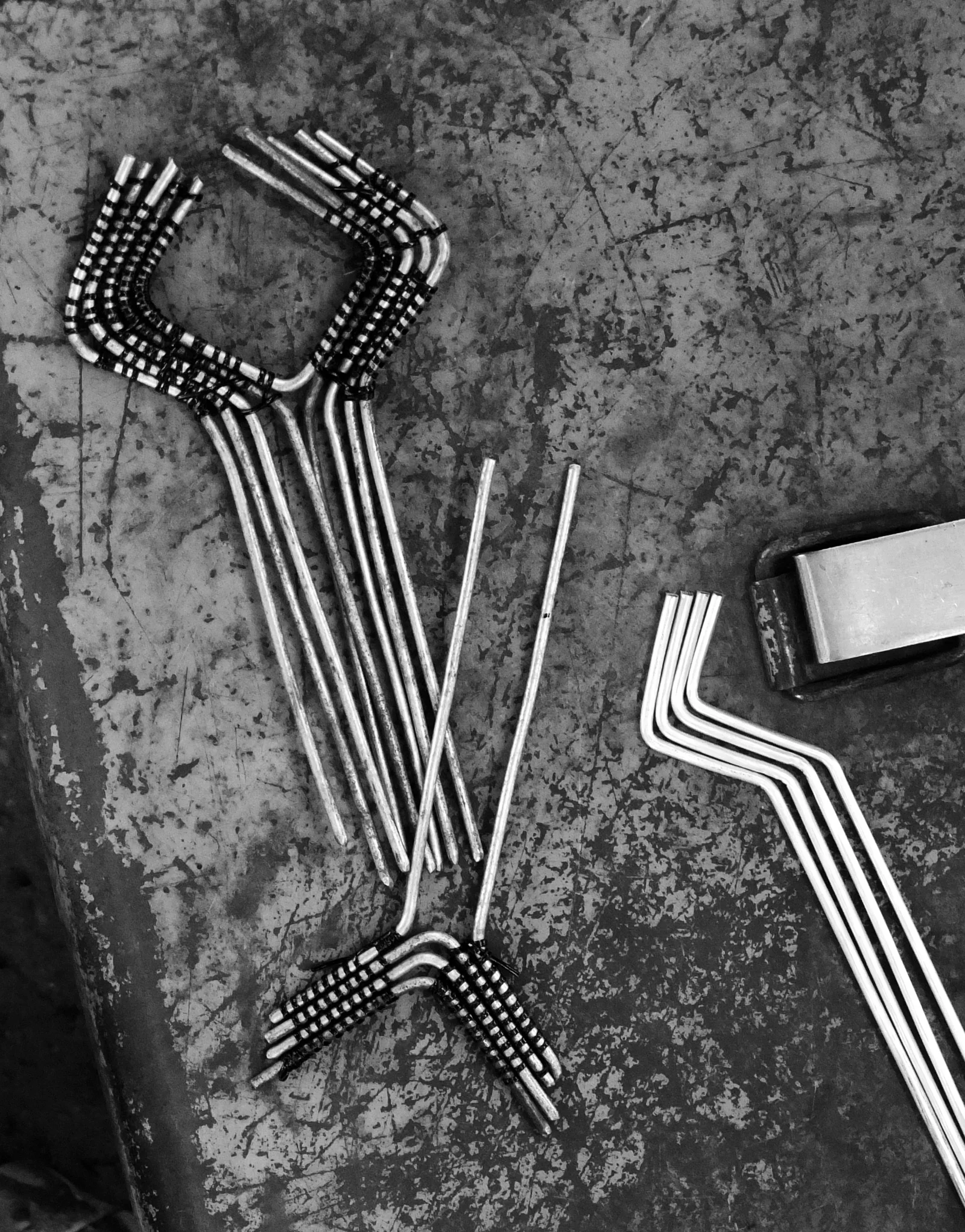 DSCF8895-bw.jpg