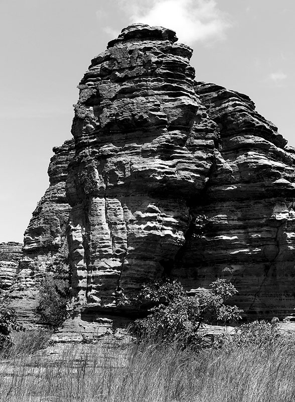 Adventice Editions Banfora 2014 Photo: © Jennifer Niederhauser Schlup