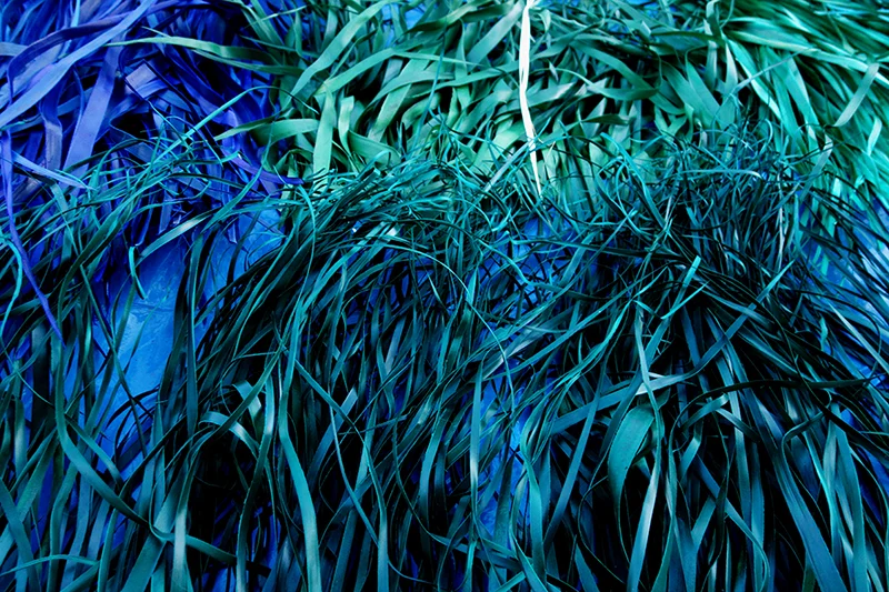 Banfora 2014 Photo: ©Laurence Stoffel / Hors Pistes