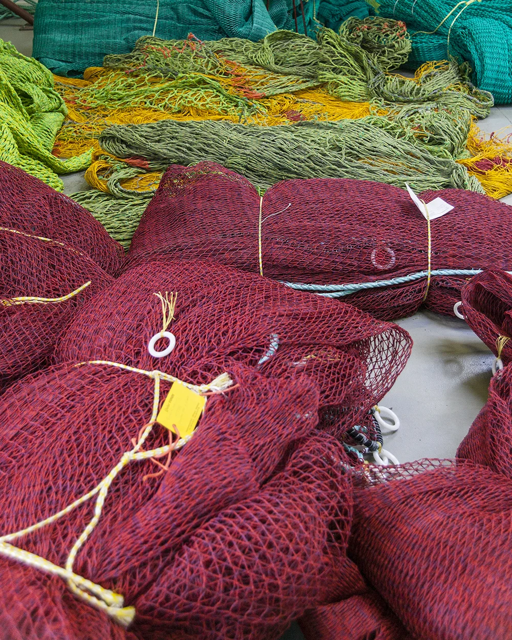 D85V0568.jpg