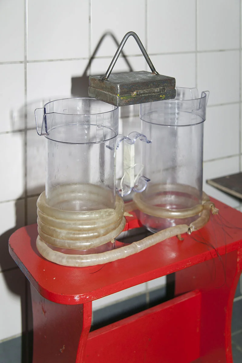 E-Barret_HorsPistes_NUUK2017_D85V0556.jpg