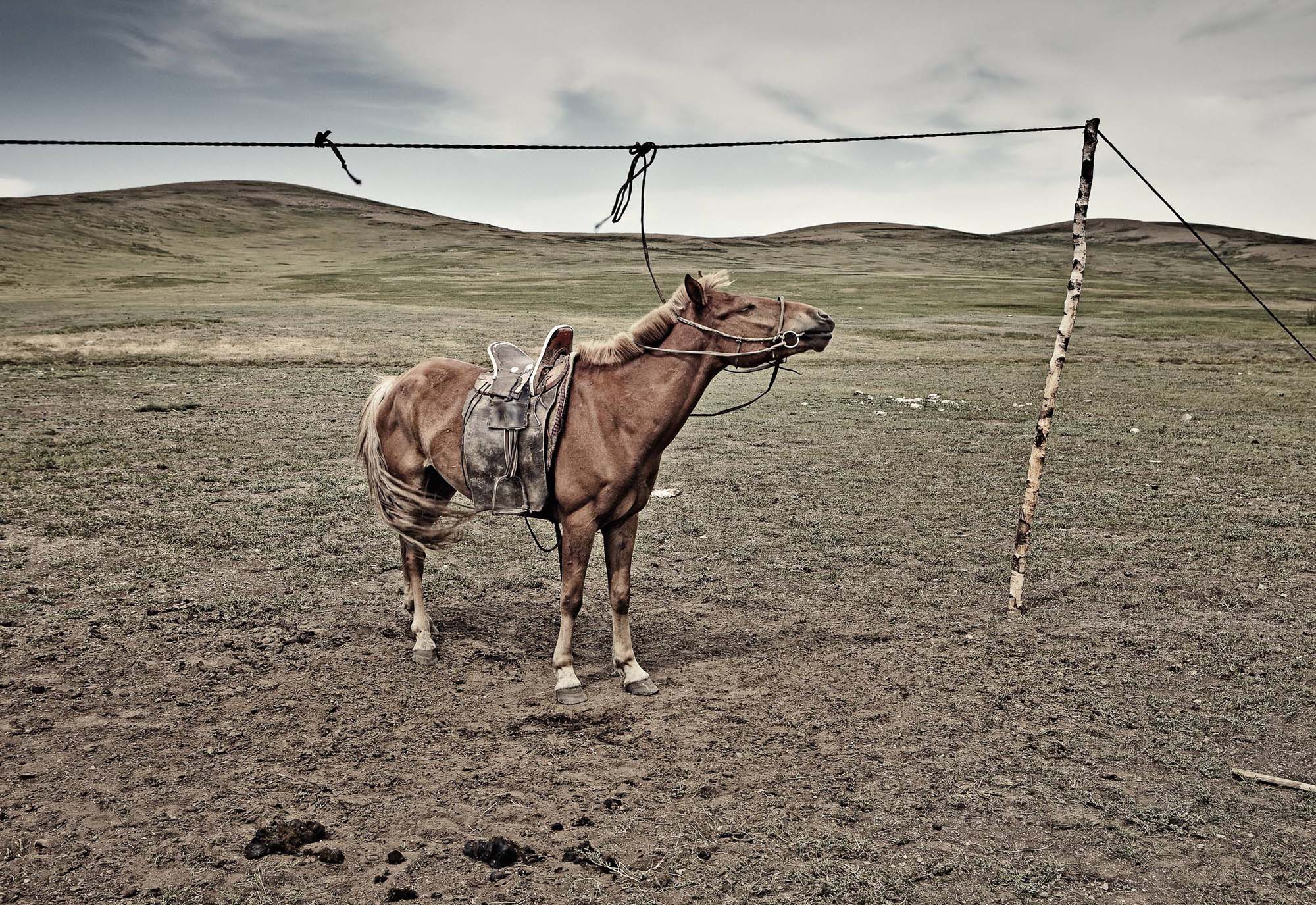 Mongolia