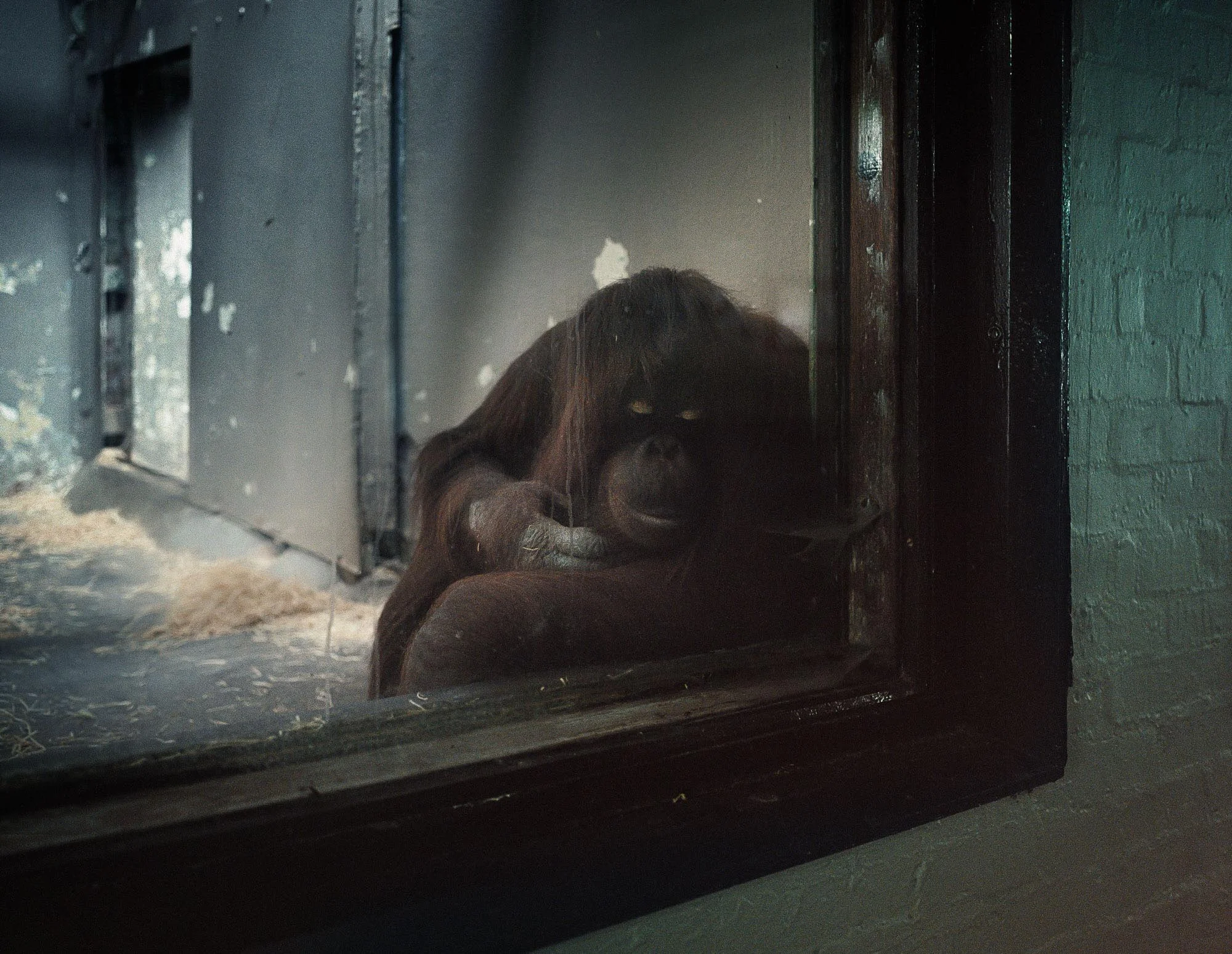 Zoo