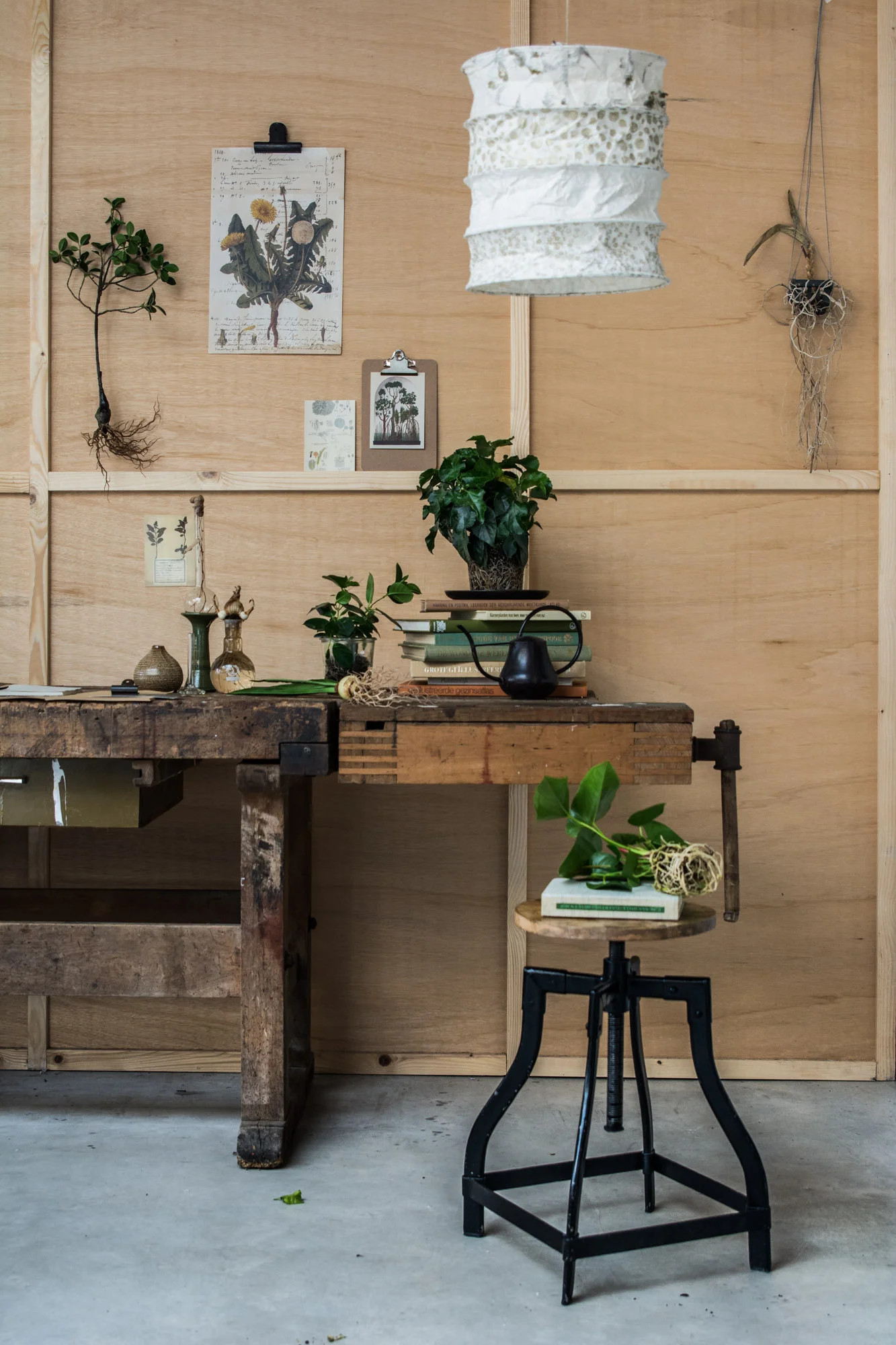 Plant met wortels: Vilaljip , poster: Sjakies , stalen clip: Sjakies , lamp: Two Birds, gedroogde plant met wortels: eigen, kaart: Sjakies , clipboard: Sjakies , kaart: Sjakies , kaart: Sjakies , glazen buisje: Petit depot , plant: eigen, bord: Woowinkel Siep , vaasje: Villajipp , standaard: eigen, glazen vaasje met wortels: eigen, plant: eigen, boeken: eigen, gieter: eigen, schaar: Dille&Kamille , schrift: Sjakies , stalen clip: Sjakies , werkbank: eigen, plant op kruk: eigen, notitie boek gemaakt van oude boekenkaft: Sjakies , kruk: eigen