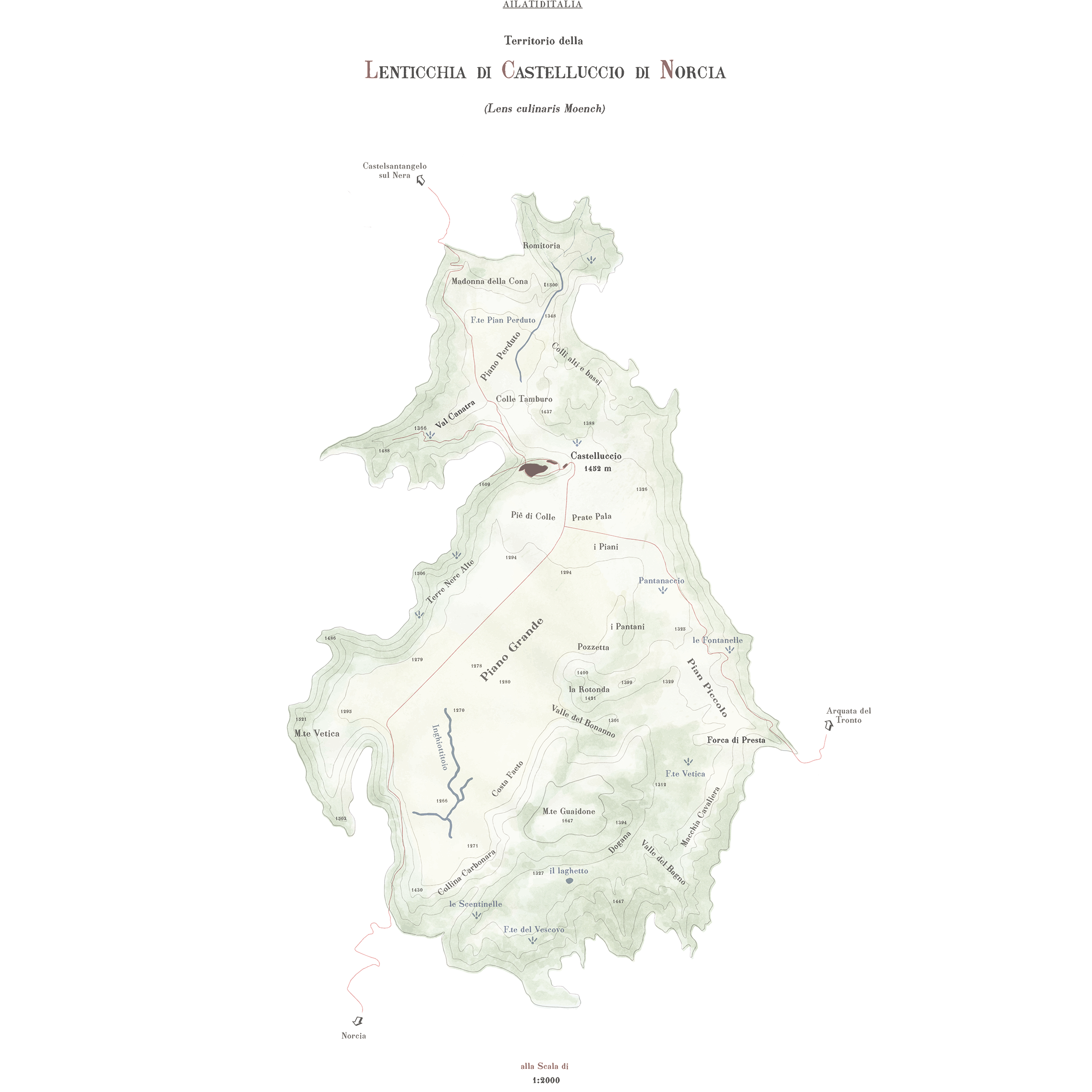 LENTICCHIA_70_2multi.png