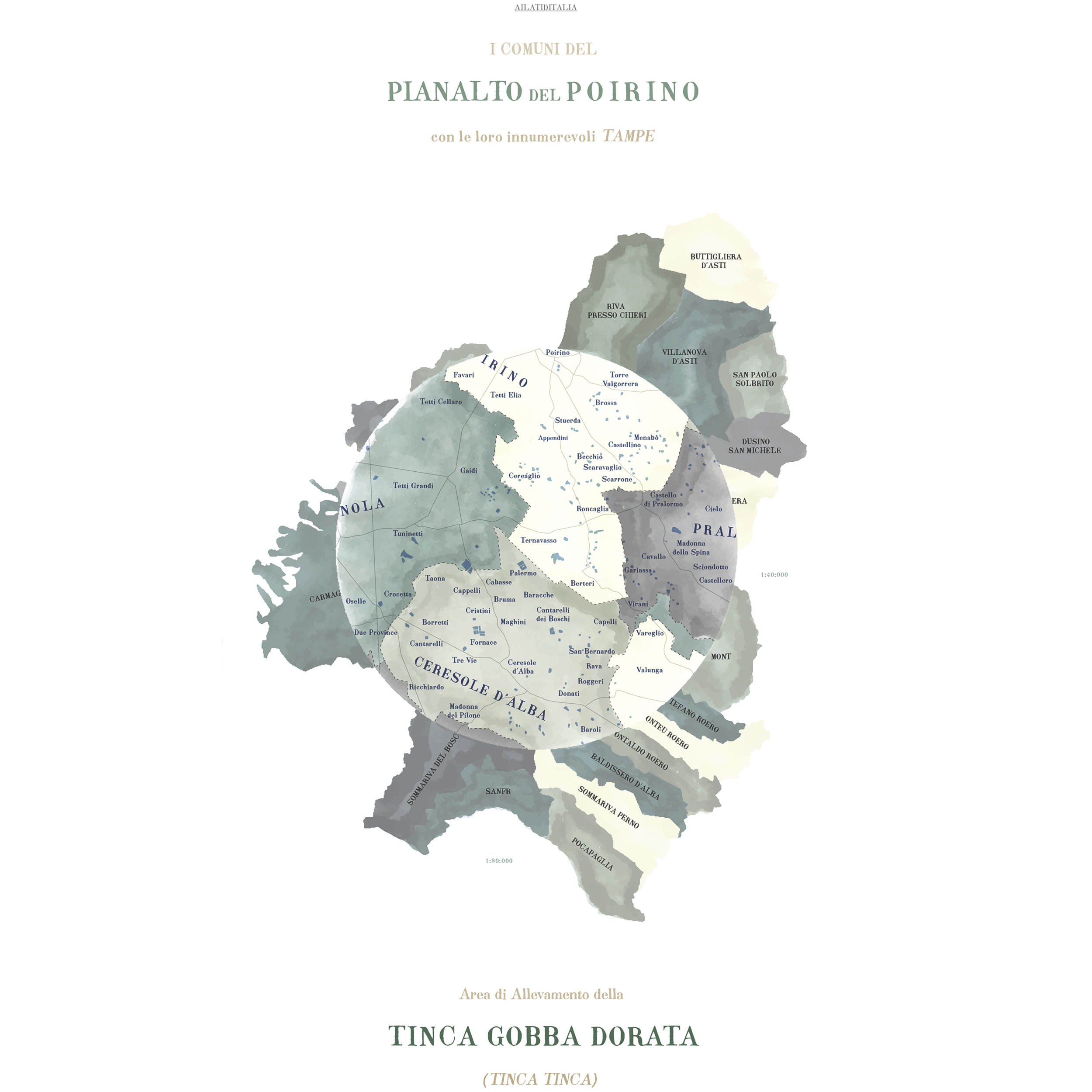TINCA_70_multi_sat.png
