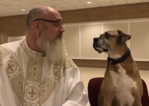 Pets in heaven? Concerning the ministry of Marius Aurelius Spartanicus, the priest's dog