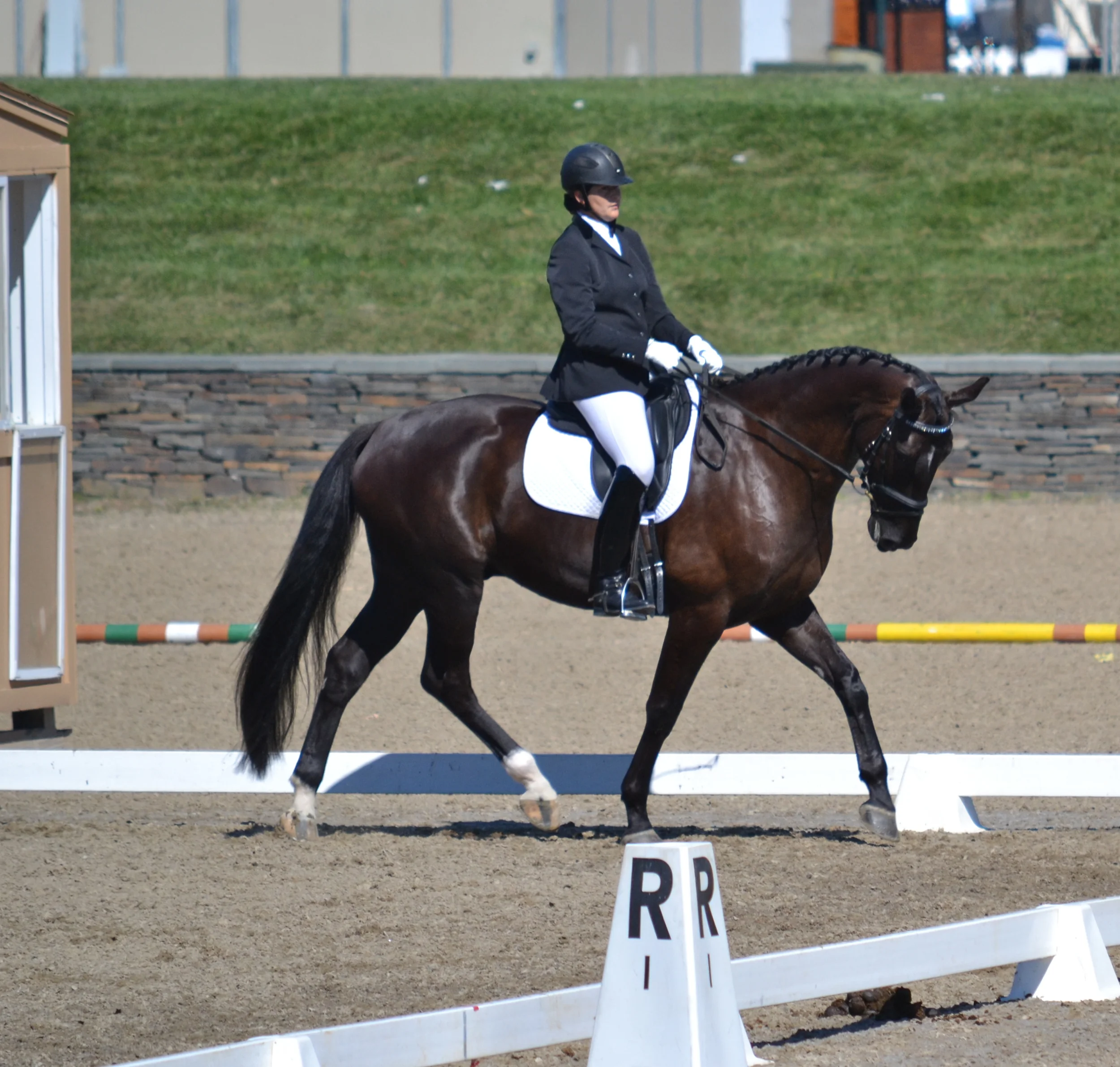 DSC_0637.JPG