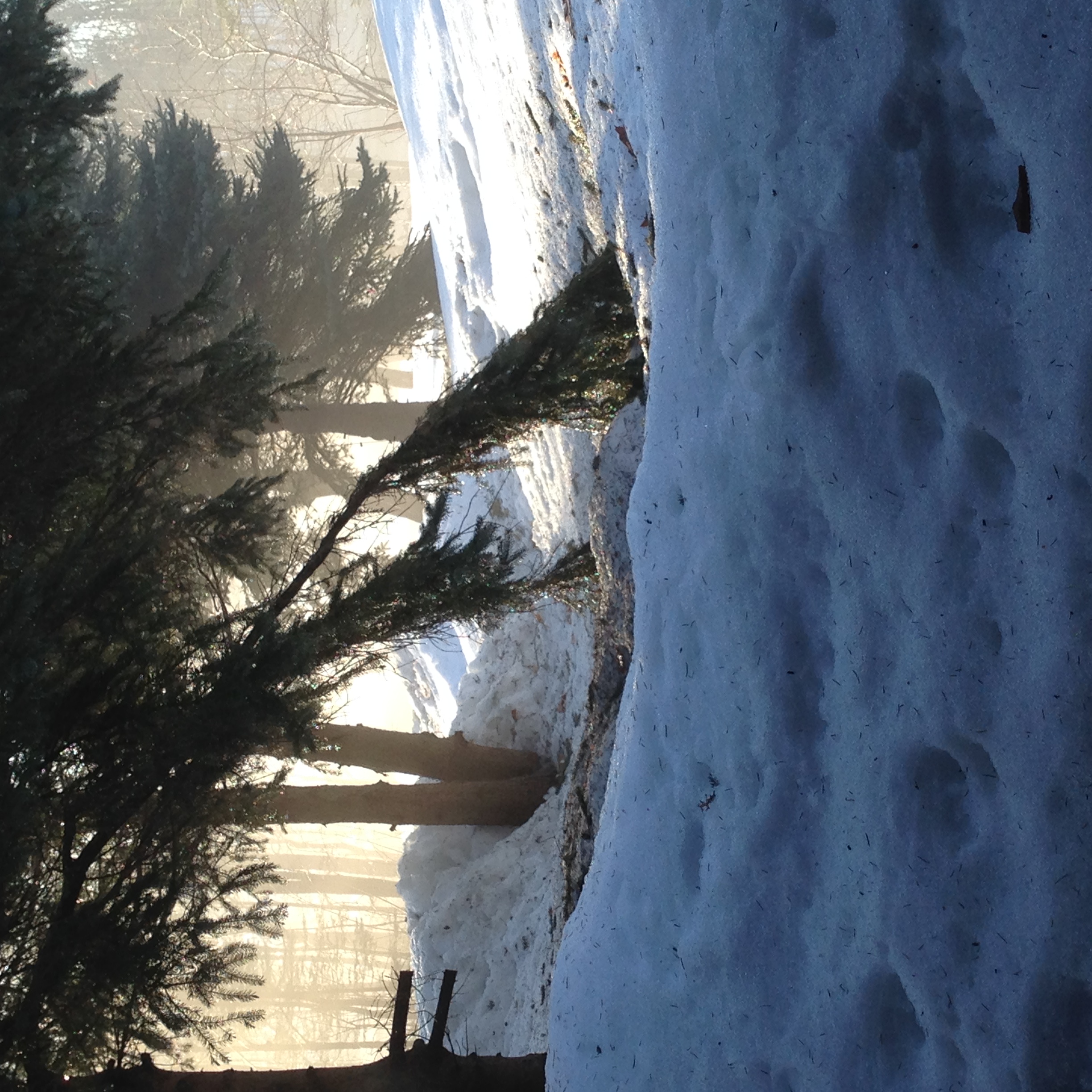 Its hard to feel excited about spring when this is what it looks like out your window. The forecast suggests its coming, but I am not so sure.