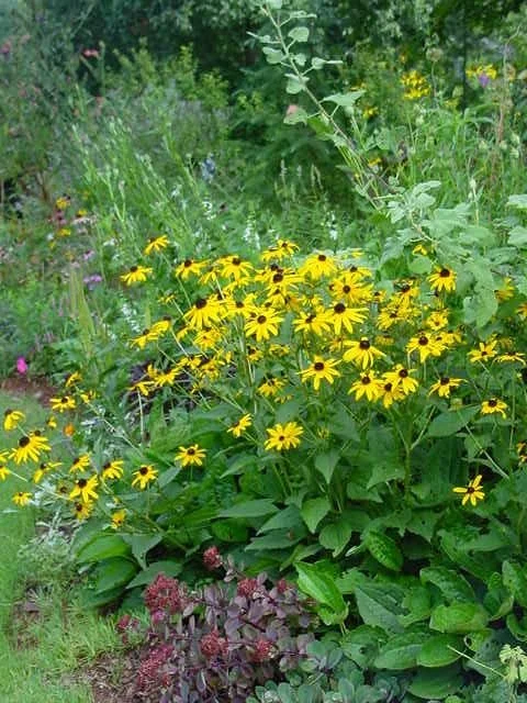 2001-07-30 11.28.26.jpg