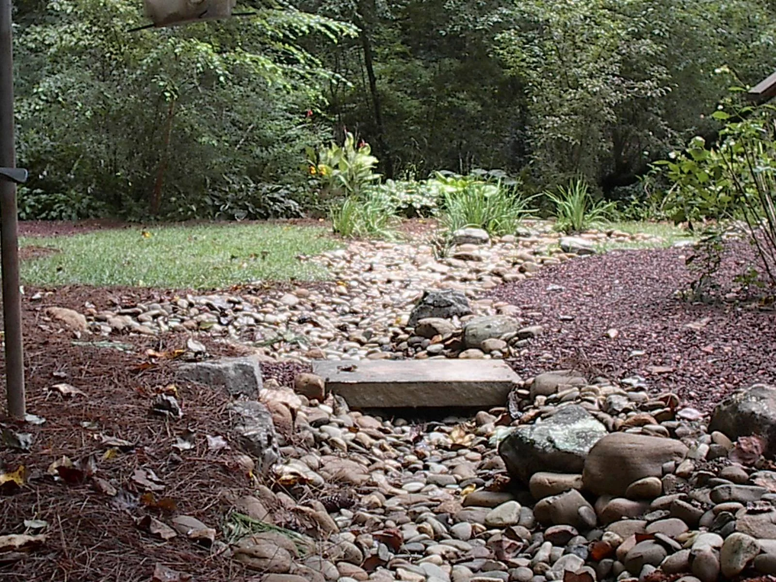 Davenport creekbed 1.JPG