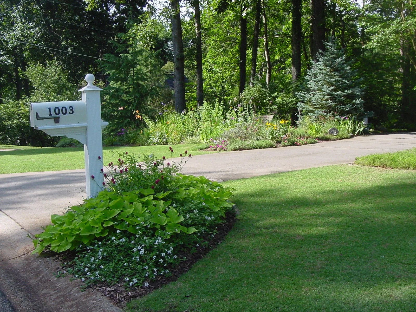 Seasonal Color Mailbox Garden.JPG