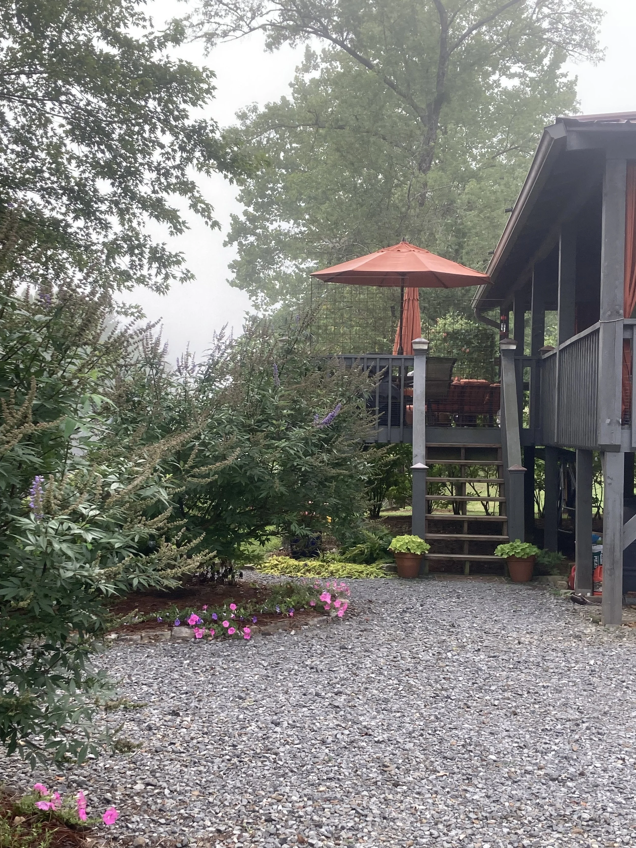 2023-08-05 08.23.03.jpg