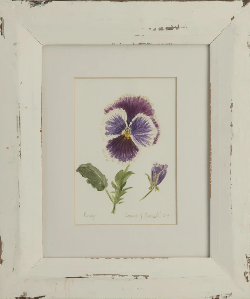 "Pansy 1."