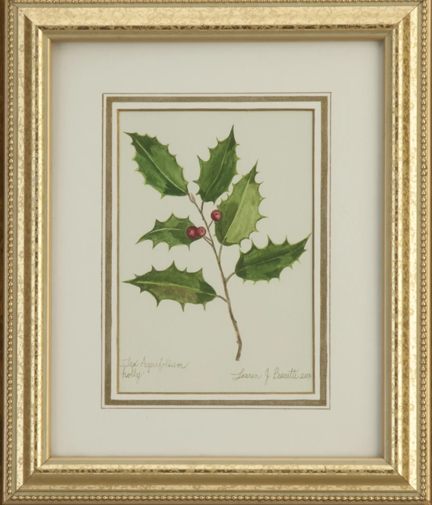 "Holly"