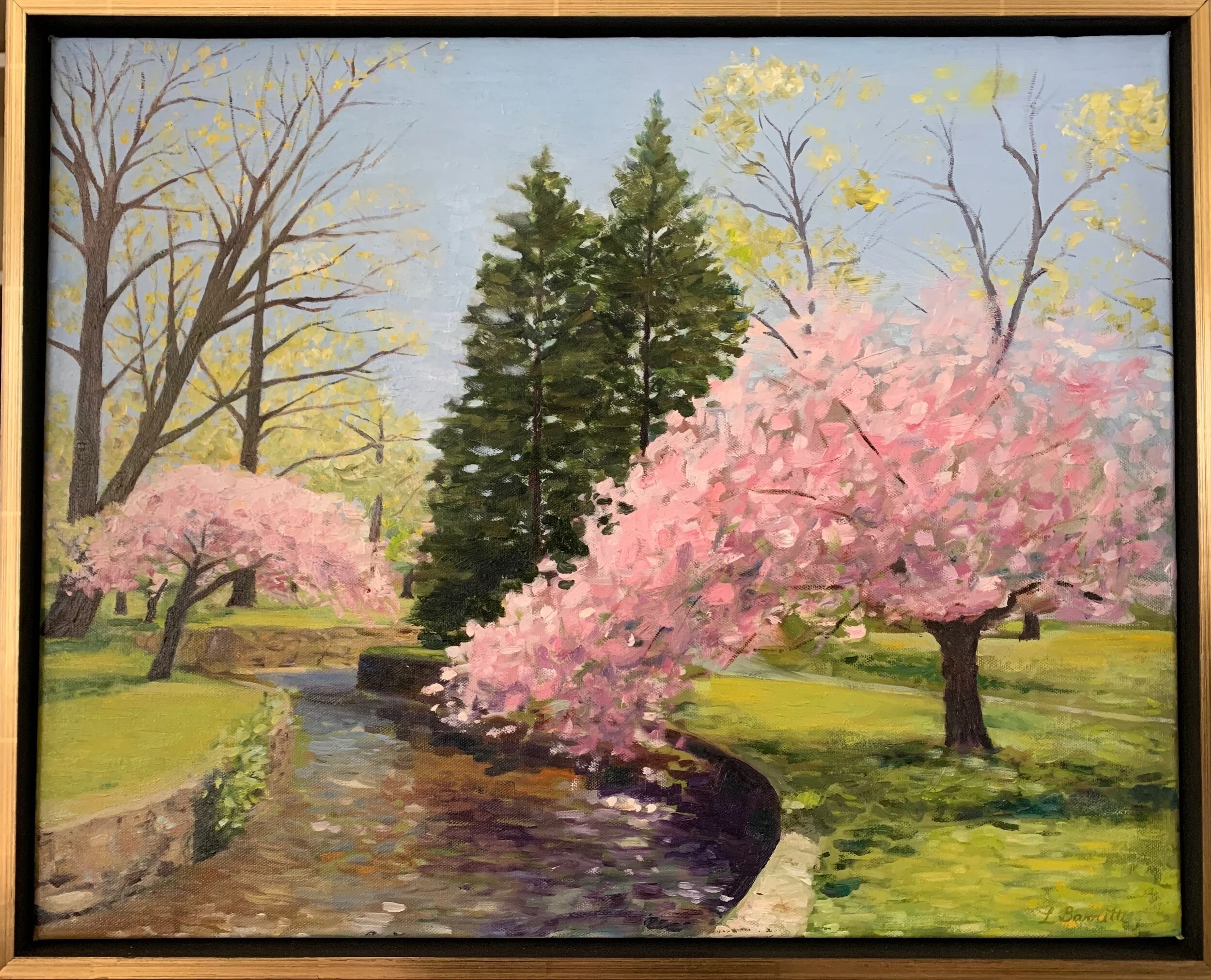 "Cherry Blossom Trees, Verona Park"