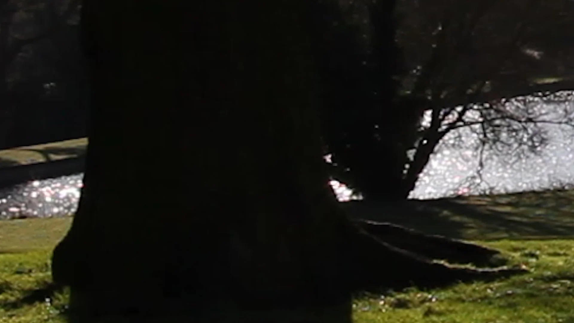 Standard - Zoomed 400% (Click for enlargement)