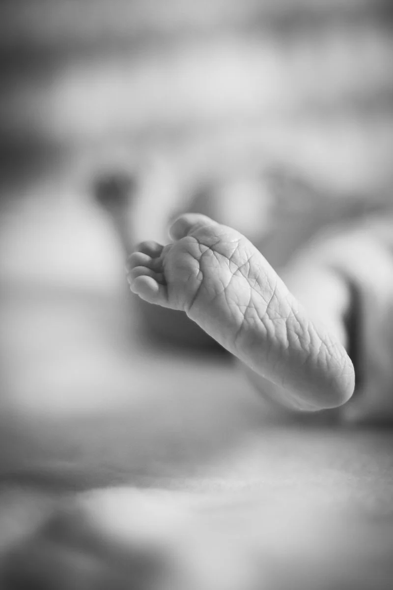 baby photographer near me_25.JPG