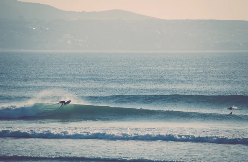 wavesurfer.jpg
