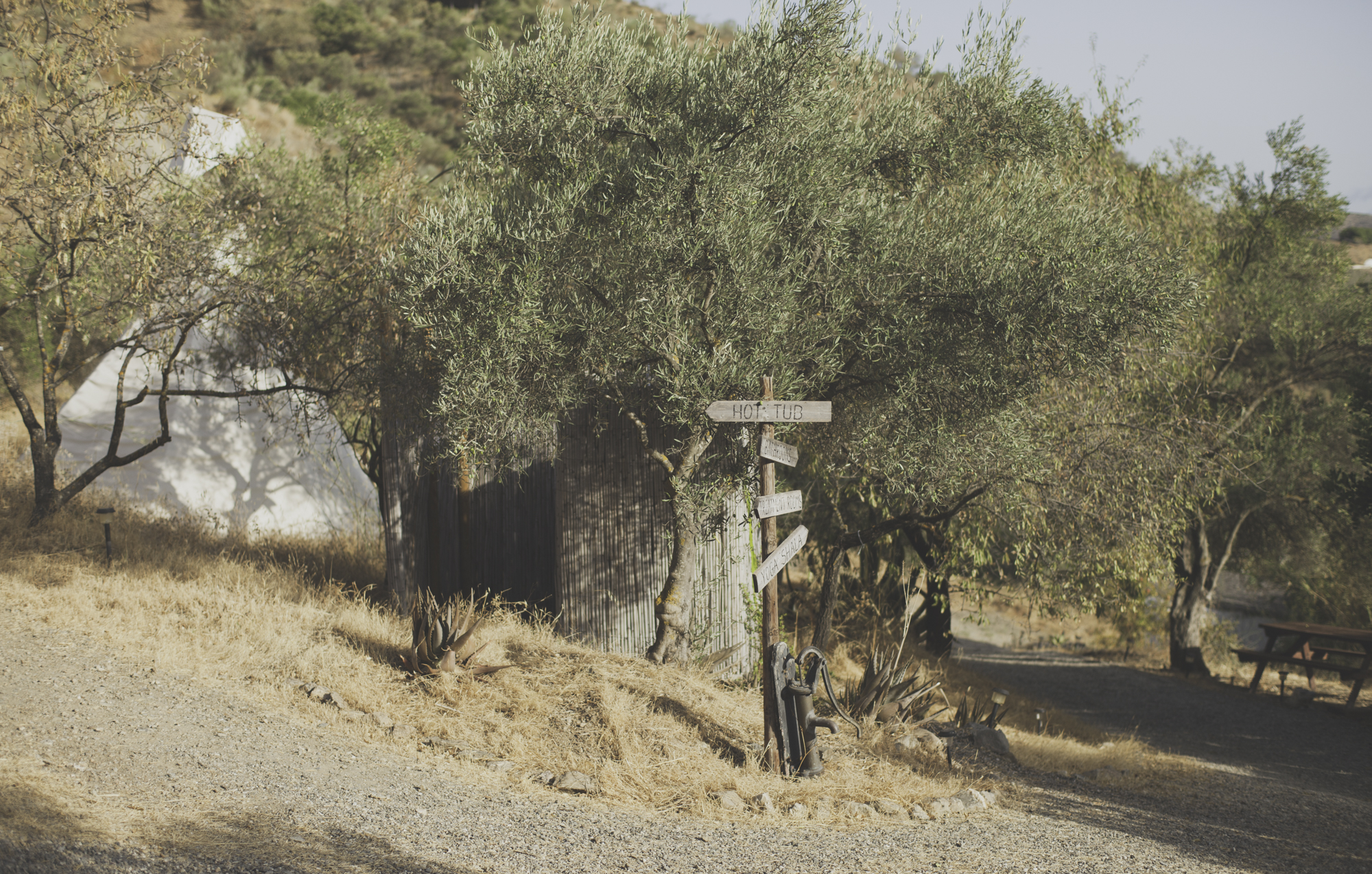 ValleDeVida web-11.jpg