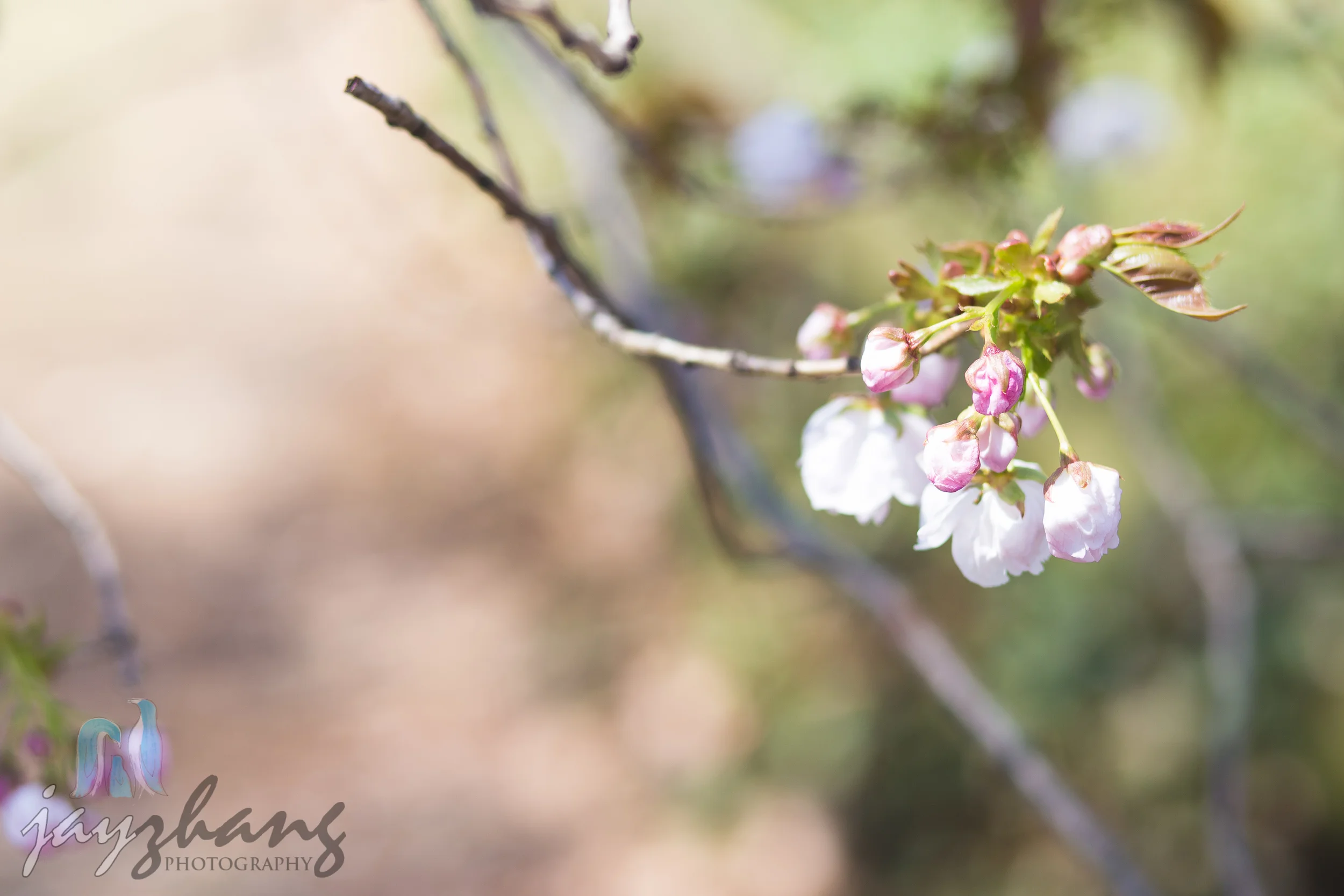 Blog Post-36.jpg