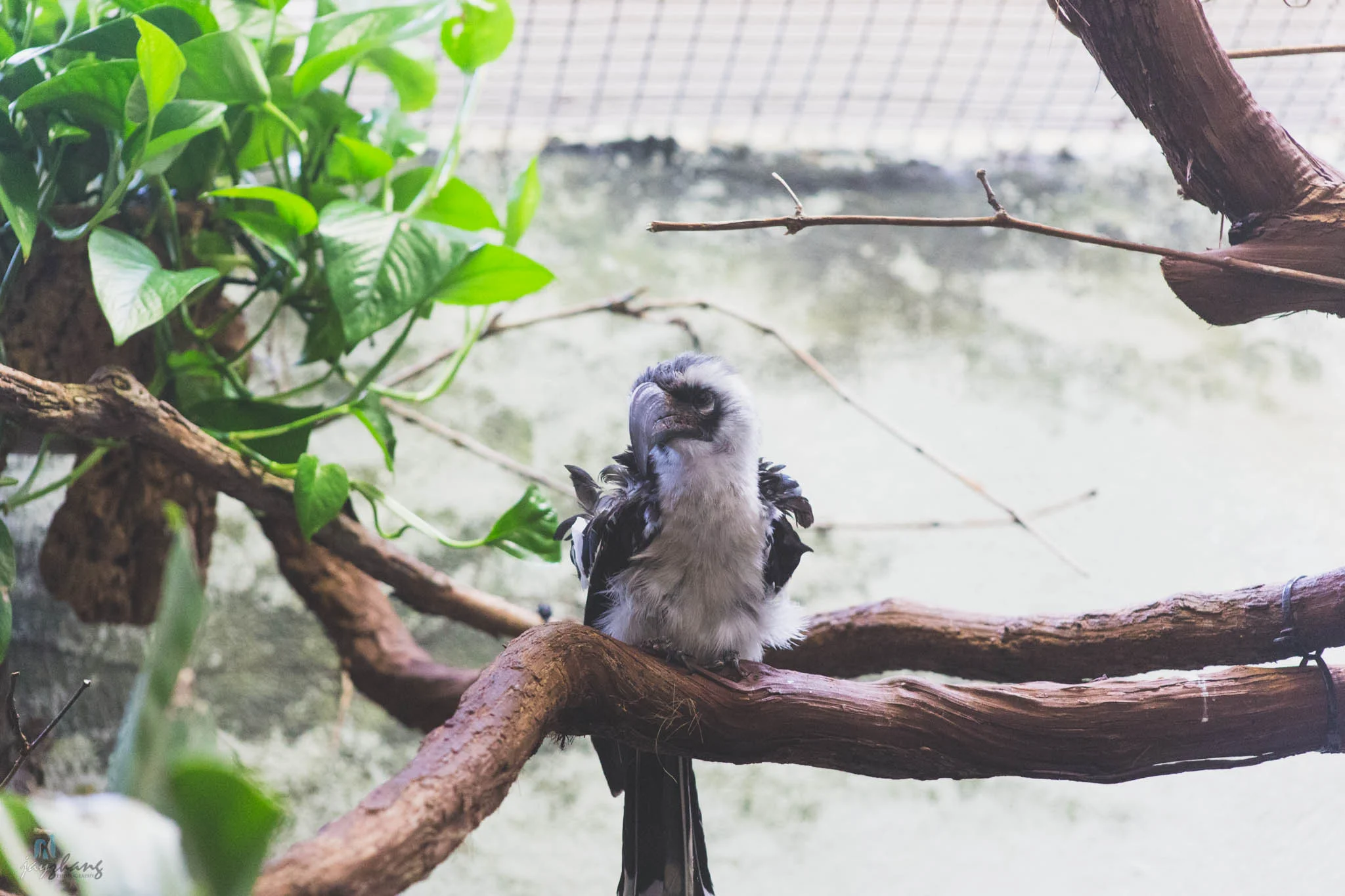 Smithsonian National Zoo-12.jpg