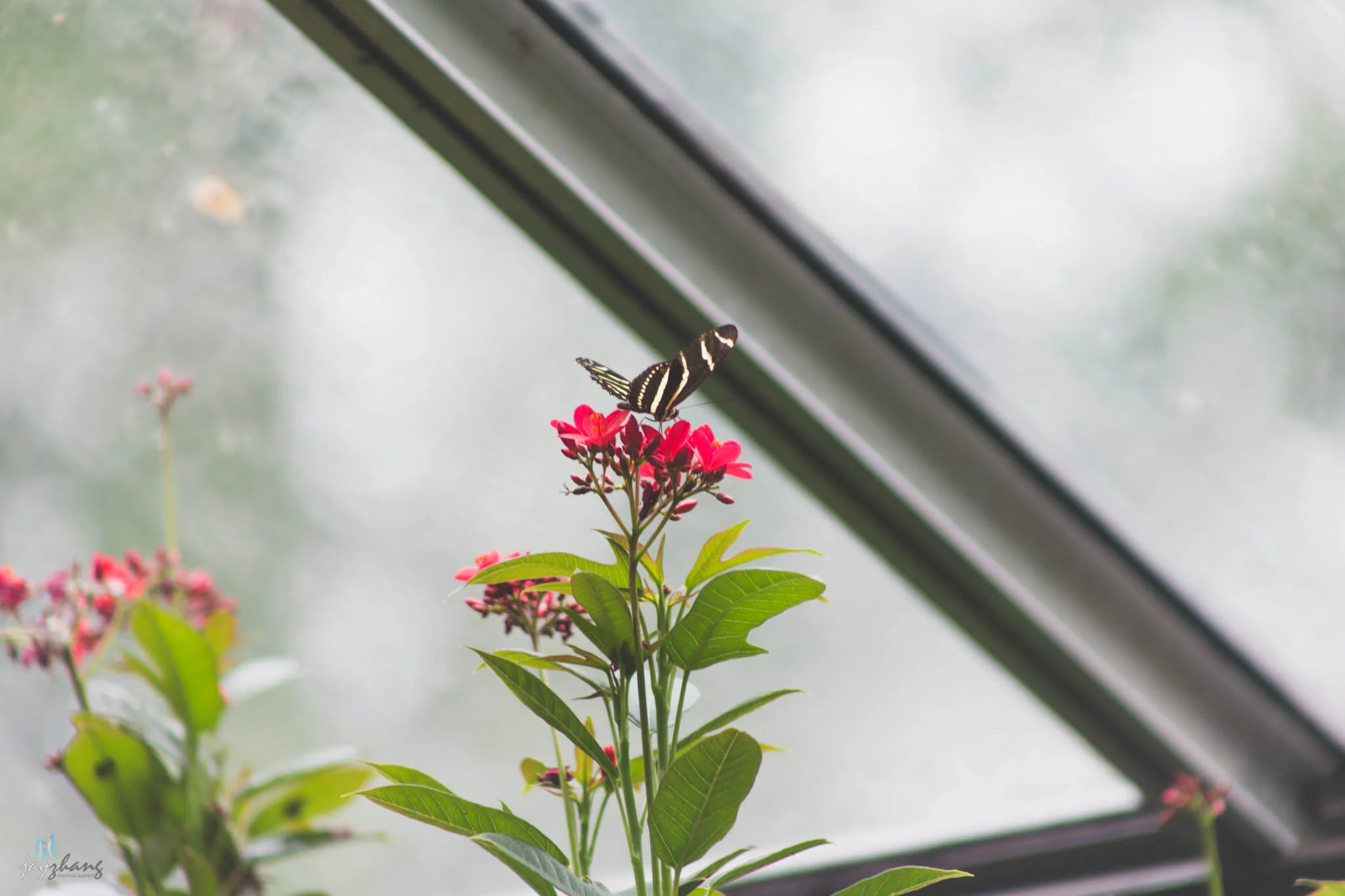 Smithsonian National Zoo-13.jpg