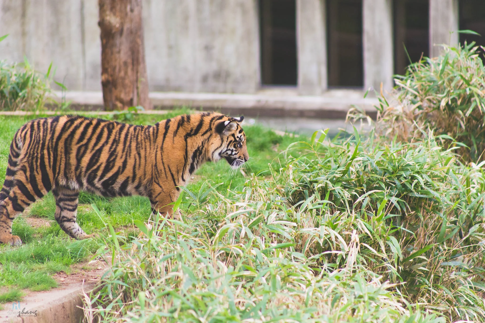 Smithsonian National Zoo-19.jpg