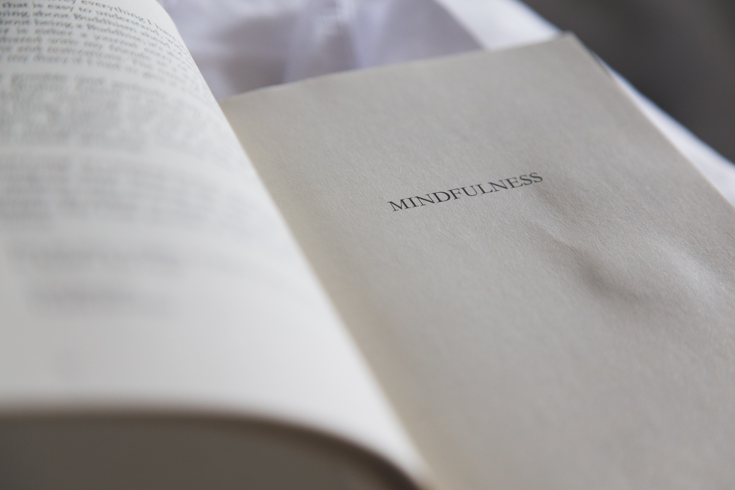 Day 32/365 - Mindfulness