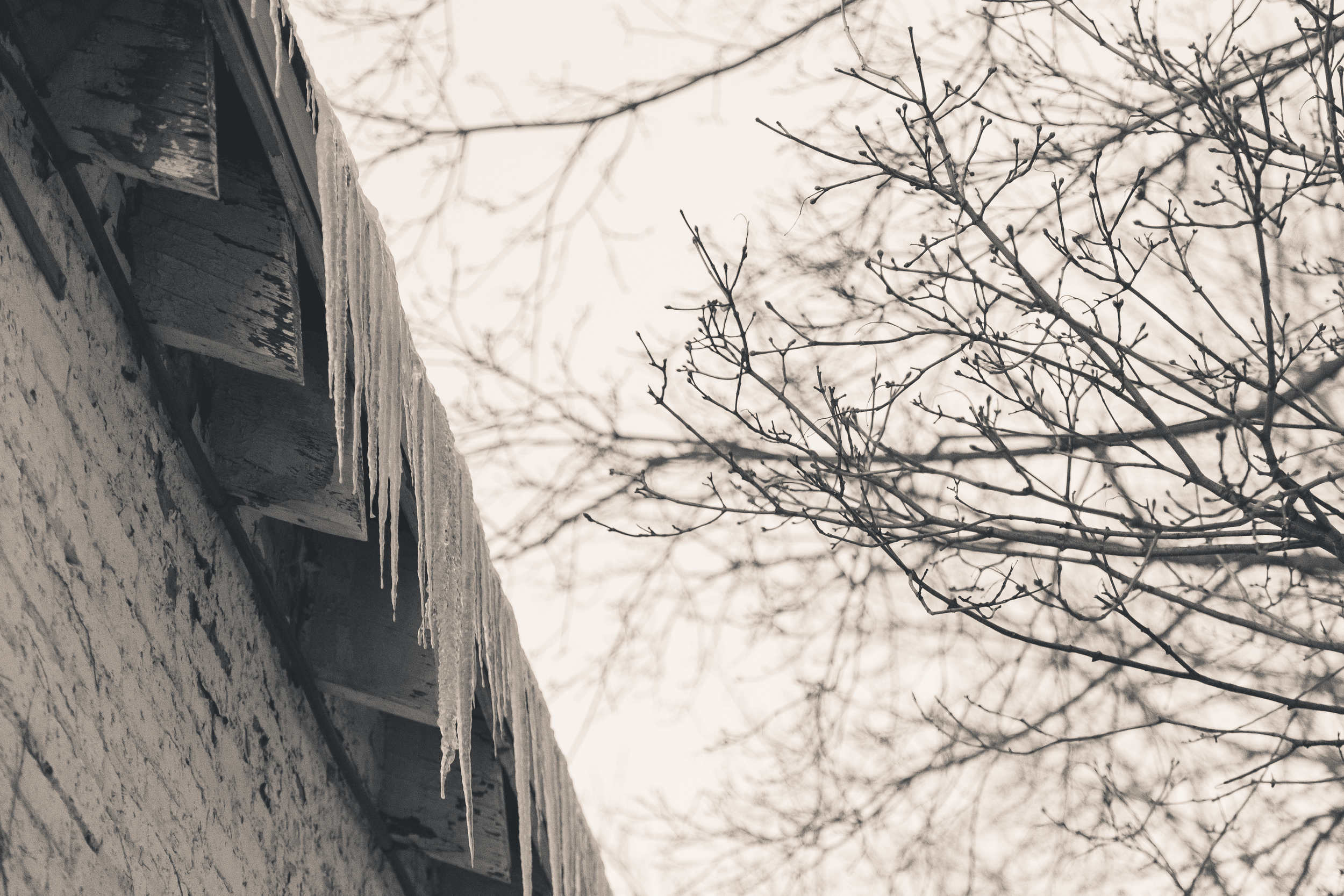Day 35/365 - Icicle
